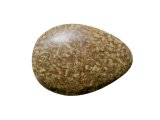 Illustration of Yellow Wagtail egg (Motacilla flava) (#3299)