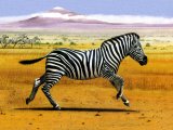 Illustration of Zebra (Equus quagga) (#1456)
