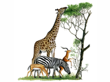 Illustration of African Wildlife - Grant's Gazelle, Impala, Zebra, Giraffe (#0237)