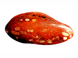 Illustration of Amber (#0688)