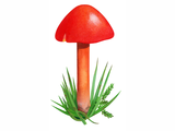Illustration of Gliophorus psittacina var. perplexa (Parrot Waxcap) (#4482)