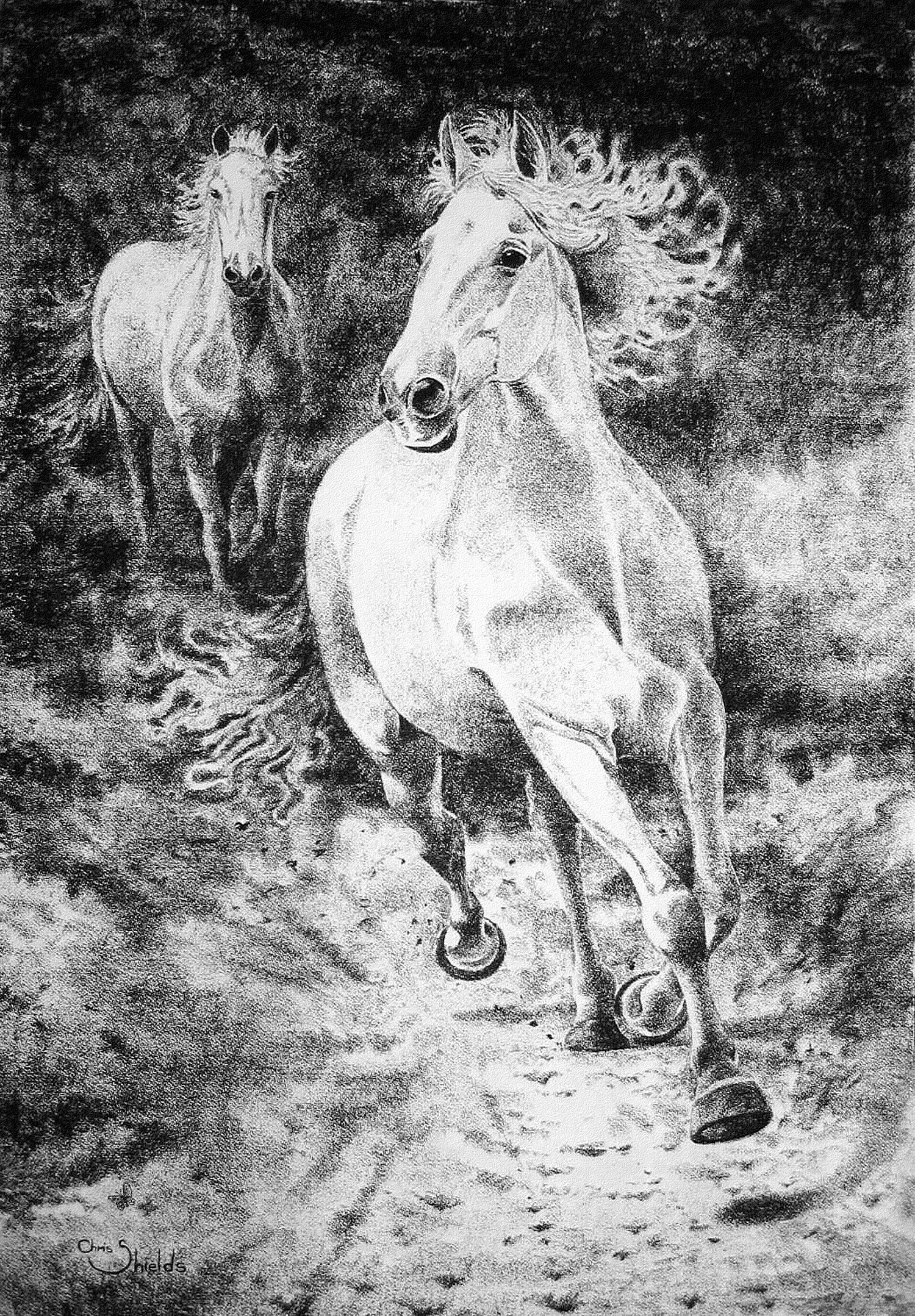 Painting of Galloping Stallions