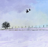 Painting of Grey Partridges on a West Pennine Winter Moor
